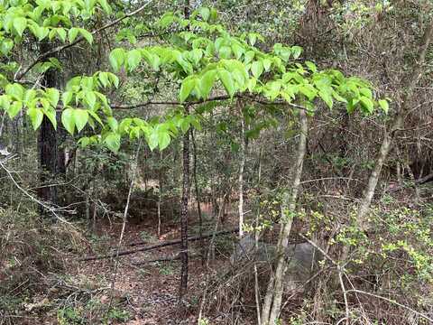 422 Oakdale Dr, Brookeland, TX 75931