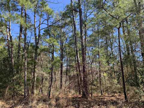 35662 Wallis Point, Brookeland, TX 75931