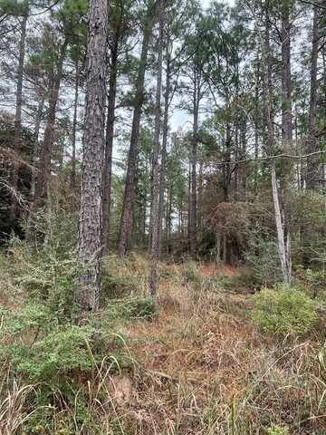 118 Teak Ln, Brookeland, TX 75931