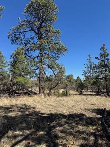 Tbd Doe Run, Los Ojos, NM 87520