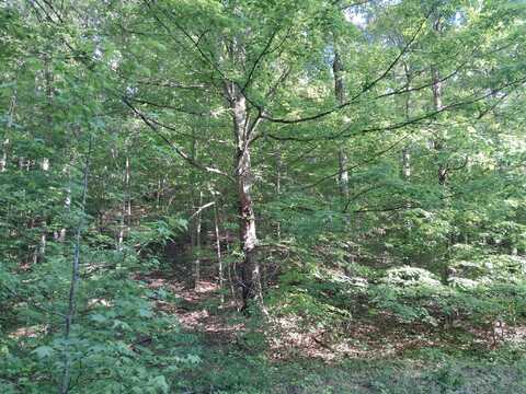 0000 Upper Racoon Creek Road, London, KY 40741