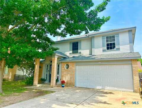 221 Sunshadow Drive, Lockhart, TX 78644