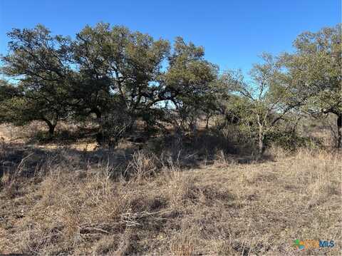 241 Lehne Loop, Buchanan Dam, TX 78609