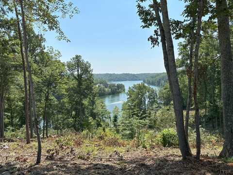 69 Washburn Court, Hardy, VA 24101