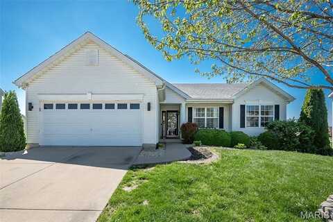 3637 Moorgate Court, Swansea, IL 62226