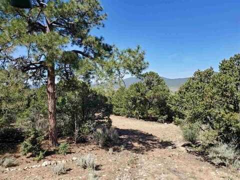 61 upper penabete, Questa, NM 87556