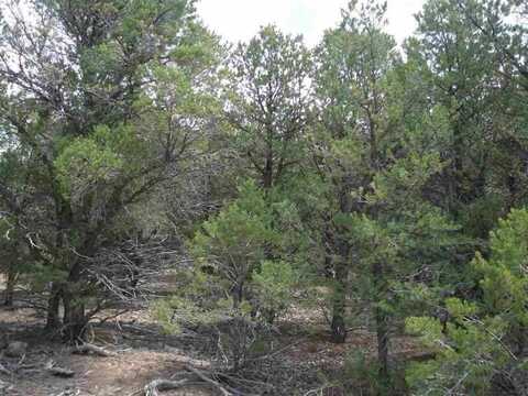 62 Upper Penabete, Questa, NM 87556