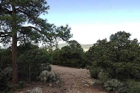 Lot 56 Upper Penebete, Questa, NM 87556