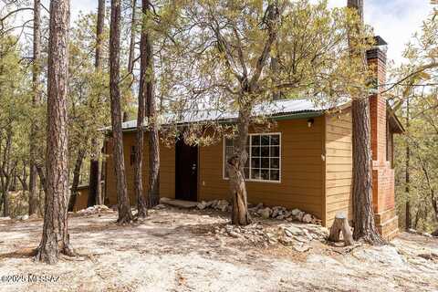 9813 S Willow Canyon, Mt. Lemmon, AZ 85619