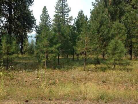 185 Northwood Court, McCall, ID 83638