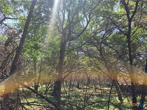 1548 Winding Creek Trail, Spring Branch, TX 78070