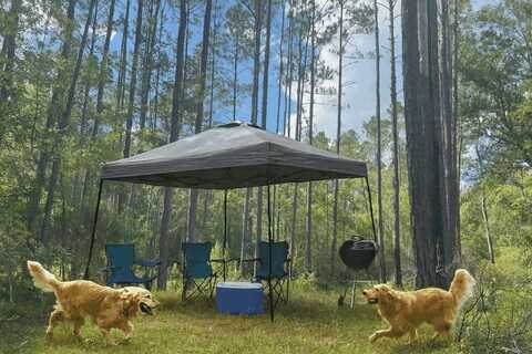 SW Open Sands Loop, Greenville, FL 32331
