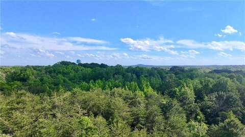 0 Oak Street, Ramseur, NC 27316