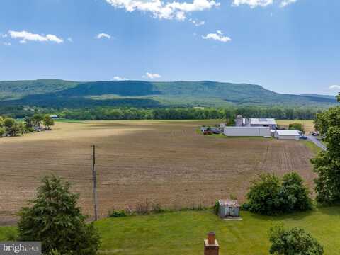 5110 DOGWOOD DRIVE, MOUNT JACKSON, VA 22842