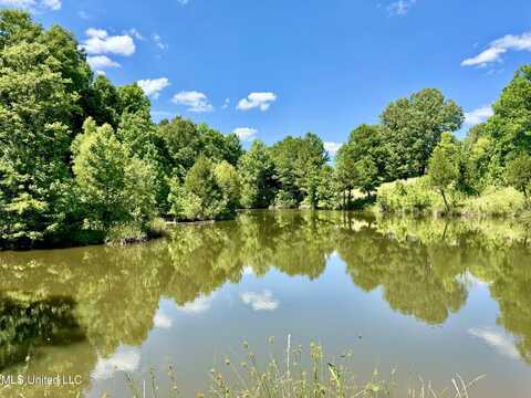0001 Ingram Road, Benton, MS 39039