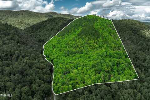 Tbd Fire Tower Road, Mountain City, TN 37683