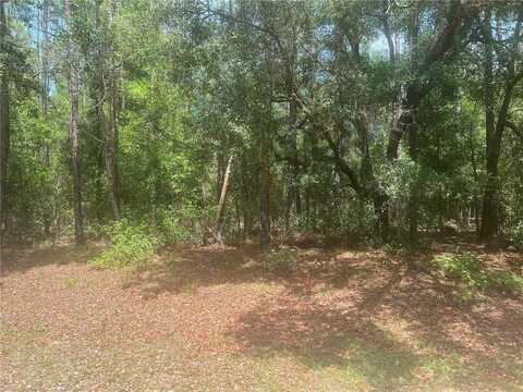 8729 N WALLINGFORD AVENUE, DUNNELLON, FL 34434
