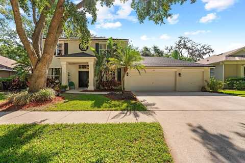 1133 SPLIT SILK STREET, VALRICO, FL 33594
