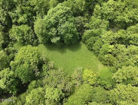 Tbd Buffalo Hollow Road, Castlewood, VA 24224
