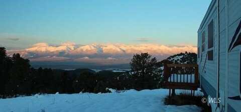31 Peerless Circle, Westcliffe, CO 81252