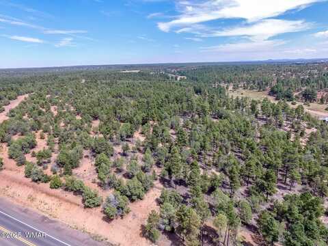 Tbd N 43rd Ave, Show Low, AZ 85901