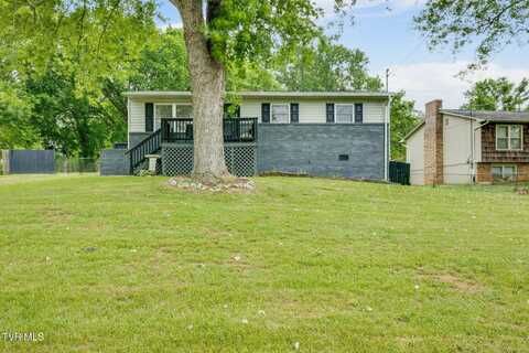 505 Chapman Street, Johnson City, TN 37604
