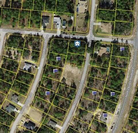 10798 N DRAGONIS DRIVES, CITRUS SPRINGS, FL 34433