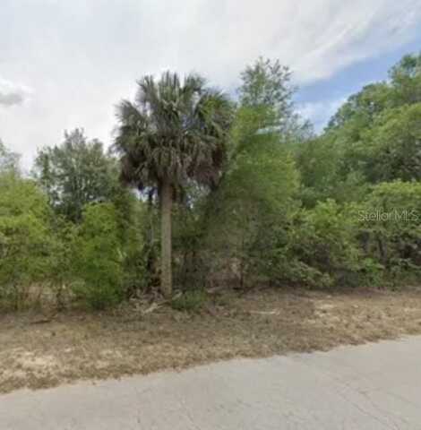 11675 N CAPTIVA TERRACE, DUNNELLON, FL 34433