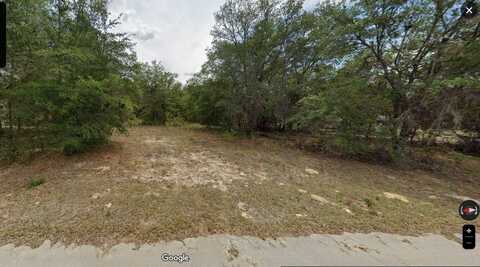 11755 N CAPTIVA TERRACE, DUNNELLON, FL 34433