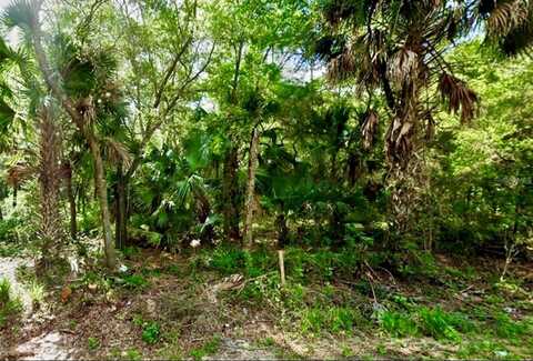167 COURT, OCKLAWAHA, FL 32179
