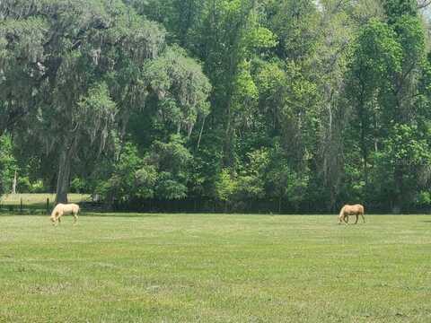 0 NE 132ND PLACE, ANTHONY, FL 32617