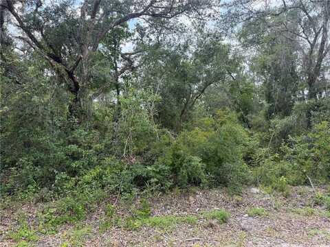 7419 SOUTHEAST AVENUE, WEBSTER, FL 33597