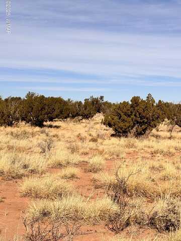 Tbd 207-69-014E, Chambers, AZ 86502