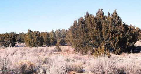 Tbd CR 7411, Saint Johns, AZ 85936
