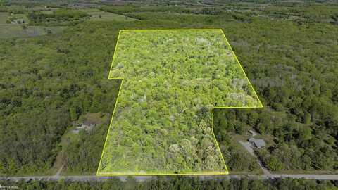 Vacant Emerson, Goodells, MI 48027