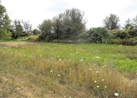 0 WINDMILL, Imlay City, MI 48444