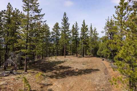 Dog Creek Road, John Day, OR 97845