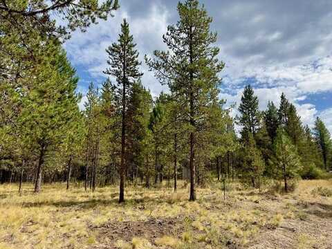 Caribou Drive, Bend, OR 97707