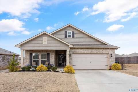 137 Sunlit Grove Drive, Harvest, AL 35749