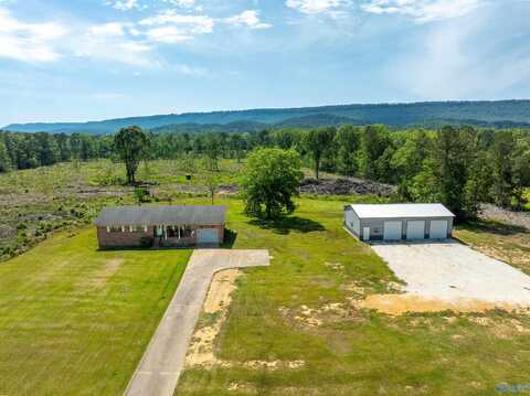 816 Wood Street, Steele, AL 35987