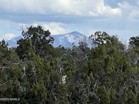 9558 Bird Dog Circle, Williams, AZ 86046