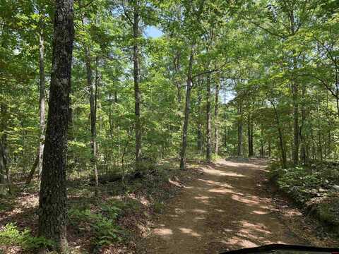 001-03695-000 WOODHILL LANE, Yellville, AR 72687