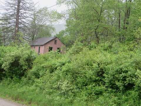 N/A Whiskey Run & Elk Grove Road, Muncy Valley, PA 17758