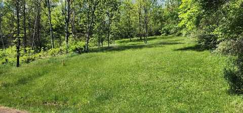 - Townview Dr, Mansfield, PA 16933