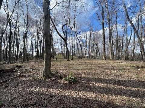 0 S Pierpont Road, Morgantown, WV 26508