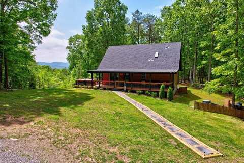 94 Rhinas Trail, Mineral Bluff, GA 30559