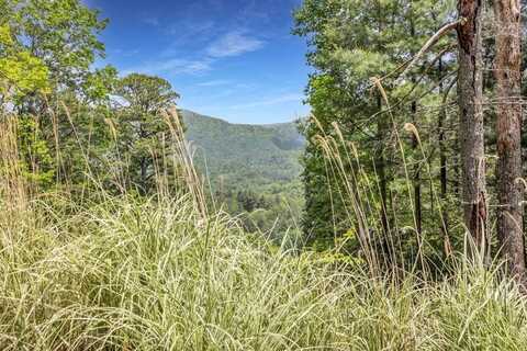 376 Eagles Rest, Blairsville, GA 30512