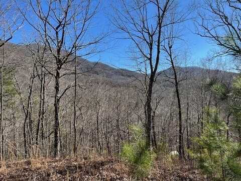 Lot 10 Mountain Valley View, Hiawassee, GA 30546
