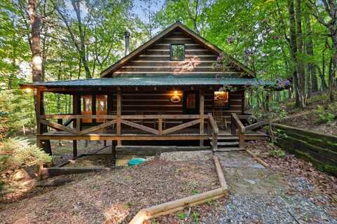 251 Honeysuckle Way, Blue Ridge, GA 30513