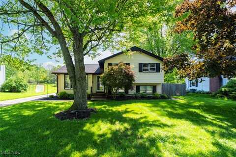 33 N Hillside Road, Canfield, OH 44406